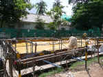 kam090611-23.jpg (236760 �o�C�g)