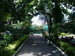kam090612-34.jpg (237189 �o�C�g)