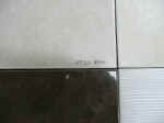 kam090616-38.jpg (122250 �o�C�g)