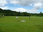 usp090118-00.jpg