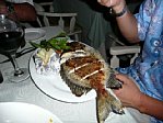 usp090120-13.jpg