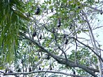 usp090510-14.jpg