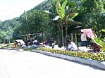 usp090512-03.jpg