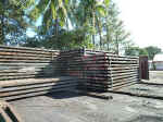 usp-vila100706-03.jpg (77990 �o�C�g)