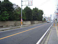 296-040904.jpg (38454 �o�C�g)