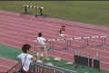 20041002-W400mH01 0895.jpg (21177 �o�C�g)