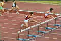 20040920-W100mhOta 471.jpg (22602 �o�C�g)