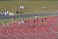 050430_M400mR 1004.jpg (22303 �o�C�g)