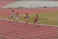 050501_M1600mR 0561.jpg (16293 �o�C�g)